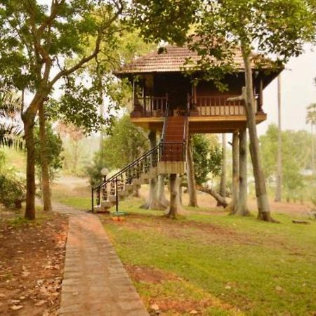 Isola Di Cocco Ayurvedic Beach Resort Poovar Εξωτερικό φωτογραφία